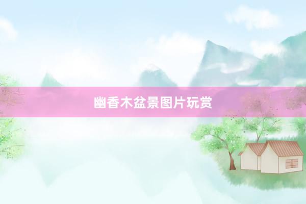 幽香木盆景图片玩赏