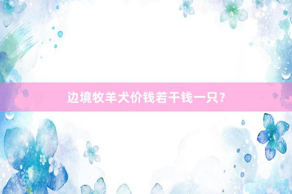 边境牧羊犬价钱若干钱一只？