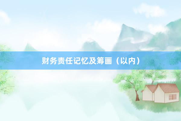 财务责任记忆及筹画（以内）