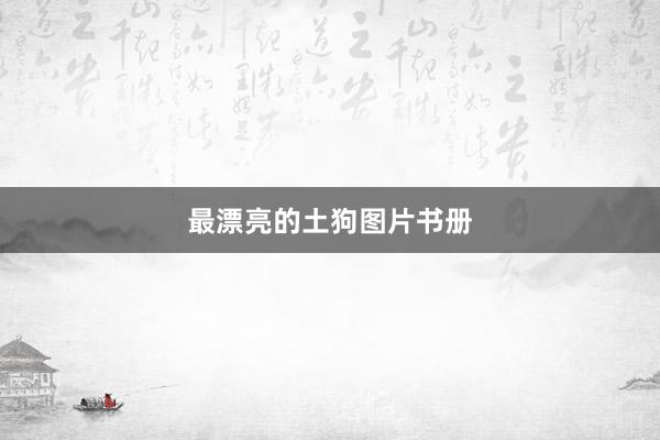 最漂亮的土狗图片书册